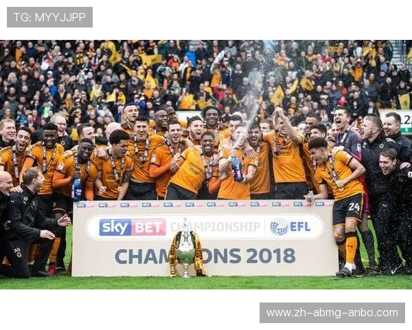 中国资本入股英超球队现状及其对联赛影响的全面分析