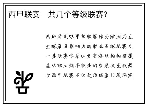 西甲联赛一共几个等级联赛？