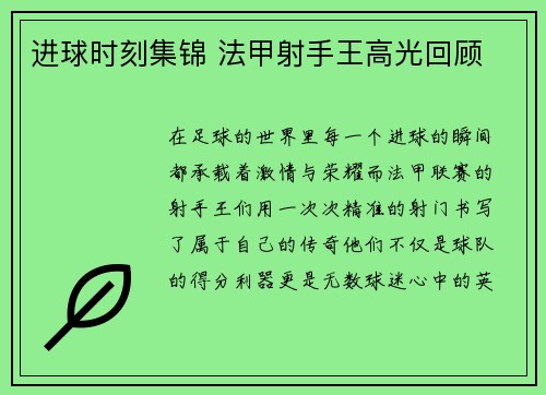 进球时刻集锦 法甲射手王高光回顾